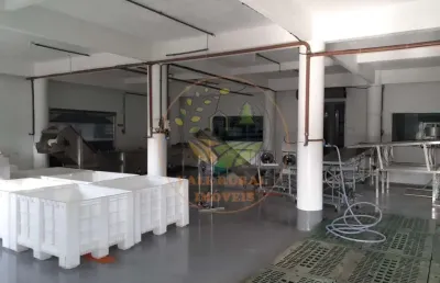 Oportunidade de negócio! industria de açai e polpa de frutas com 16.250 hectares! gl00006