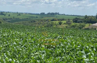 Maravilhosa fazenda com topografia muito boa, plantação de soja e facilidade no pagamento!
