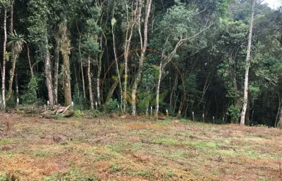 Imperdível! terreno em campos do jordão com 3.307 m², abaixo do valor de mercado e ótima localização! ar00026