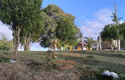 Oportunidade! lindo sítio  de 12 alqueires em paraisópolis - mg  st00168