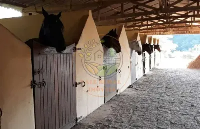 Oportunidade! maravilhoso haras de 50.000m² em guararema - sp  ha00006