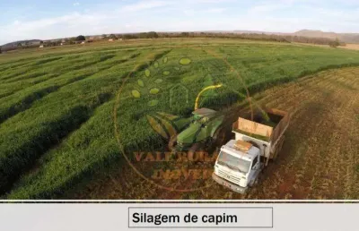 Maravilhosa fazenda  de 8.503,87 hectares em montes claros - mg  fa00180