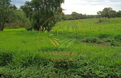 Excelente fazenda de 53 alqueires em rio quente-go fa00192