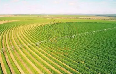 Exclente fazenda de café na região de buritizeiro - mg  fa00209