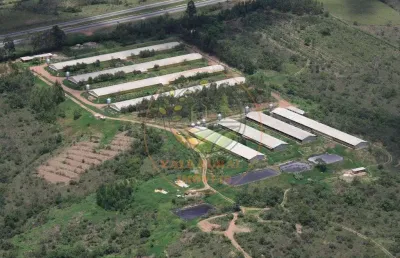 Excelente! granja em pleno funcionamento próxima á br 060-  df/go   fa00219