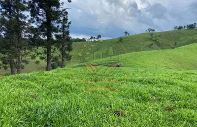 Excelente área em sapucai mirim - mg com 7 alqueires, com vista deslumbrante  ar00096
