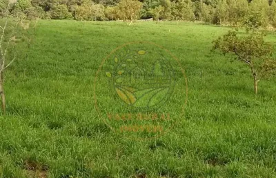 Fazenda à 100 km araguaína-to, com 385 alqueires voltada pra pecuária e agricultura, com 7,5 km de rio fa00241