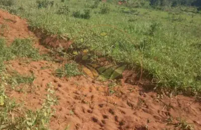 Fazenda em mineiros - go com 623 alqueires  fa00245