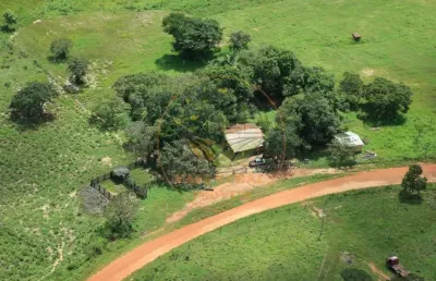 Excelente! fazenda com 75 alqueires no estado do tocantins  fa00244