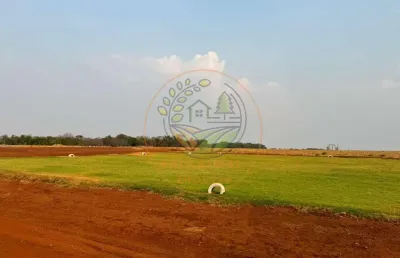 Fazenda de 600 alqueires em santa fé de goiás  fa00264