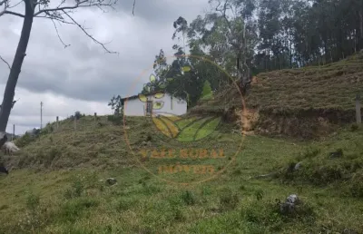 Oportunidade! sitio em natividade da serra com 5 alqueires  st00236