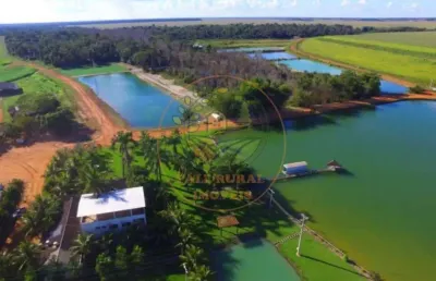 Fazenda  com 8.000 hectares na região de sinop- mt  fa00267