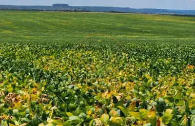 Excelente fazenda de 1.738 hecatres em luziania - go  fa00274