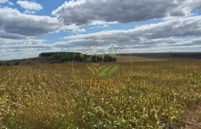 Oportunidade! fazenda em águas frias de goiás com 1603 hectares  fa00270