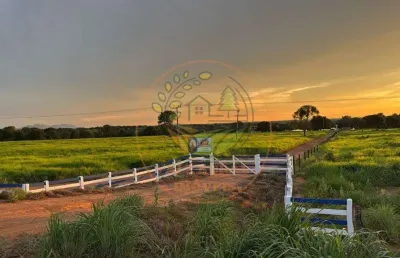 Excelente! fazenda de 251 alqueires na região de peixes - to  fa00277