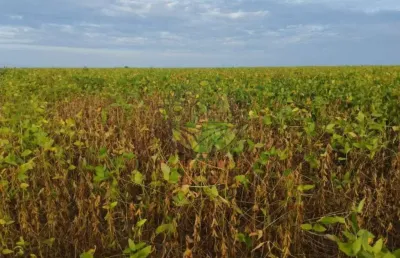 Excelente fazenda de 2.830 hectares em tocantins com lavoura de milho e soja  fa00284