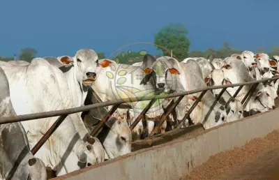 Excelente fazenda de 1.473 alqueires em goiás, porteira fechada  fa00287