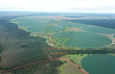 Excelente fazenda de alta produtividade em jussara - go  fa00295