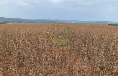 Fazenda na região de caldas novas - go com 716 alqueires  fa00294