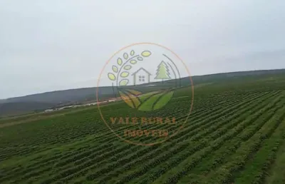 Excelente fazenda de café a venda em minas gerais  fa00301