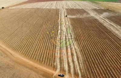 Oportunidade! fazenda na região de cristalina - go  fa00302