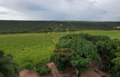 Fazenda à venda na Área Rural de Rondonópolis, Rondonópolis 