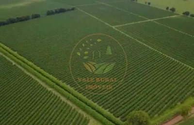 Vendo fazenda de café -serra do cabral/mg excelente oportunidade de investimento fa00327