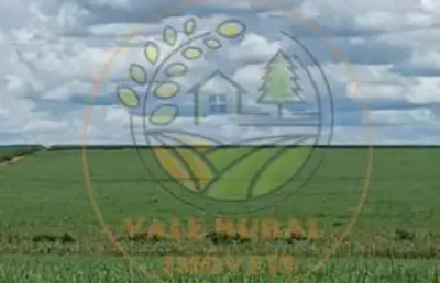 Fazenda à venda  região de são josé do rio preto/sp fa00331
