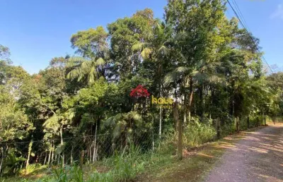 Terreno à venda, 5145 m² por r$ 260.000,00 - itoupava central - blumenau/sc