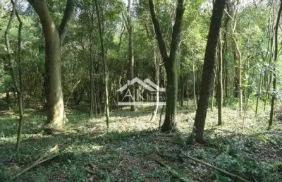 Terreno arborizado, margeado por rio, a venda em picada café, na serra gaúcha