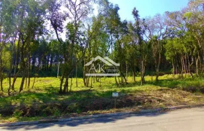 Terreno arborizado a venda em loteamento central de picada café, na serra gaúcha
