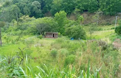Amplo terreno com vista, às margens da br 116, à venda em picada café, na serra gaúcha