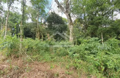 Amplo terreno à venda em nova petrópolis, na serra gaúcha