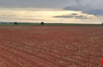 Terreno rural à venda em nova odessa - 8.547 alqueires.