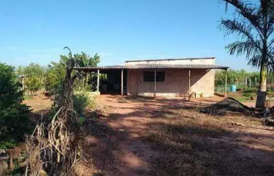 Sítio na zona rural de santa bárbara d’oeste com 2 quartos e pomar produtivo