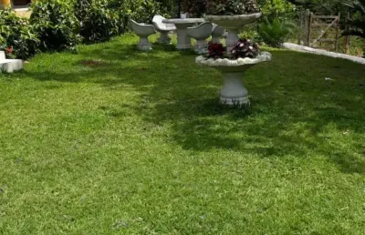 Fazenda com 7 salas à venda no Muribara, São Lourenço da Mata 