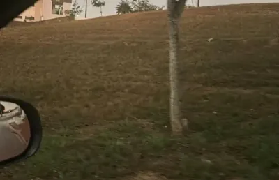Terreno em condomínio fechado à venda no Manassu, Jaboatão dos Guararapes 