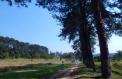 Terreno à venda, 31500 m² por r$ 18.000.000,00 - finco - são bernardo do campo/sp