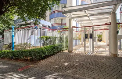 Apartamento com 3 quartos à venda em vila mascote - sp