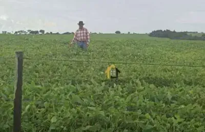 Fazenda à venda, 19021200 m² por r$ 17.685.000,00 - centro - santa rita do araguaia/go