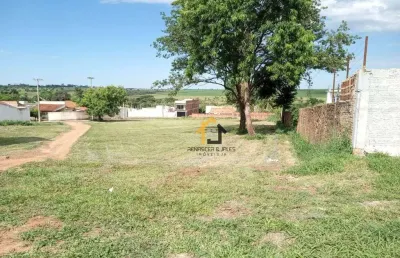 Terreno à venda, 3200 m² por r$ 1.000.000,00 - centro - promissão/sp