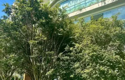 Cerqueira cesar apartamento a venda 3 suites 196m2 2 vagas novo pronto p morar
