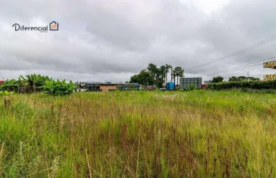 Terreno à venda, 2277 m² por r$ 1.500.000,00 - borda do campo - são josé dos pinhais/pr