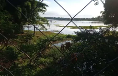 Chácara com 3 dormitórios à venda, 9160 m² por r$ 1.600.000,00 - chácara jabur - sertaneja/pr