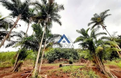 Terreno à venda, 20000 m² por r$ 450.000,00 - distrito maravilha - londrina/pr