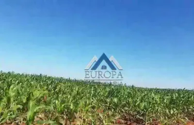 Fazenda à venda, 1495560 m² por r$ 26.000.000,00 - rural - bela vista do paraíso/pr