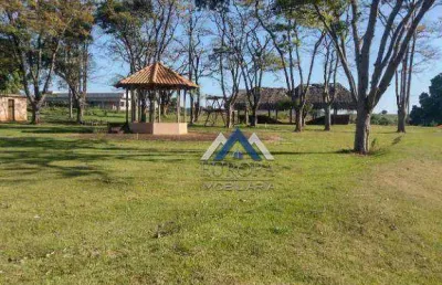 Terreno à venda, 1000 m² por r$ 300.000,00 - ilha do sol  - primeiro de maio/pr
