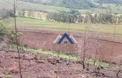 Sítio com 3 dormitórios à venda, 290400 m² por r$ 2.950.000,00 - rural - nova fatima/pr