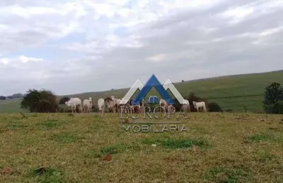 Sítio à venda, 133100 m² por r$ 1.375.000,00 - zona rural - jataizinho/pr
