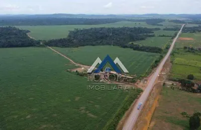 Fazenda com 5 dormitórios à venda, 35700000 m² por r$ 65.000.000,00 - comércio - itaituba/pa